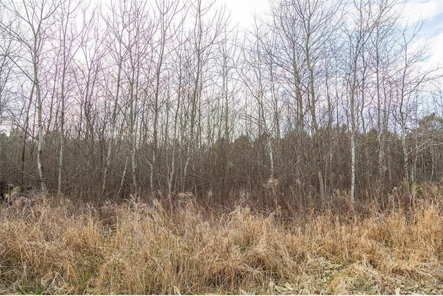 0 County Road Ee, Elk Mound, WI 54739