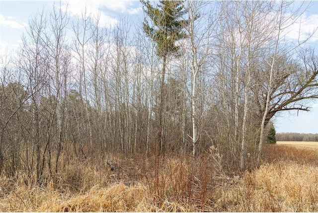 0 County Road Ee, Elk Mound, WI 54739