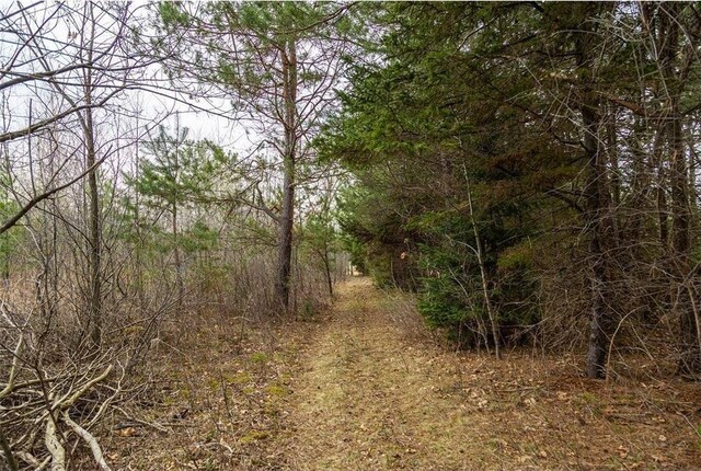 0 County Road Ee, Elk Mound, WI 54739