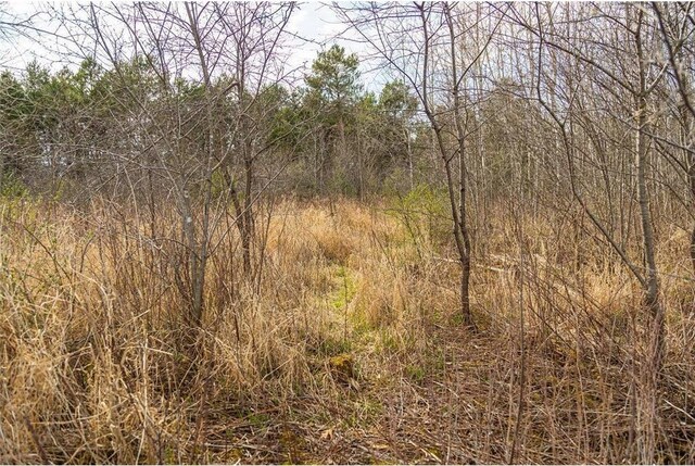 0 County Road Ee, Elk Mound, WI 54739