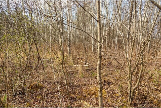 0 County Road Ee, Elk Mound, WI 54739