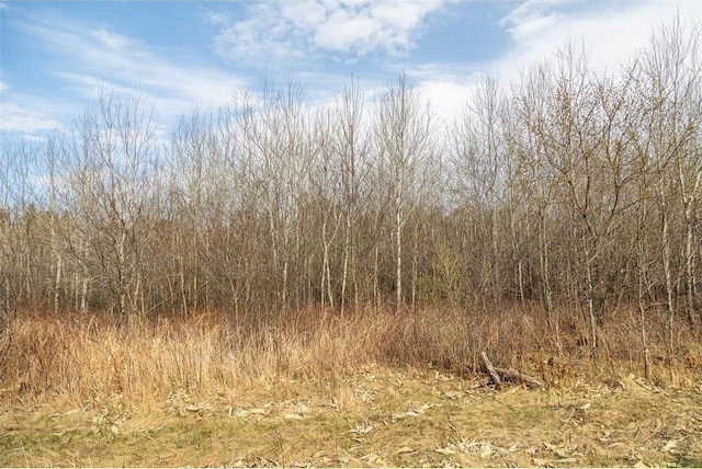 0 County Road Ee, Elk Mound, WI 54739