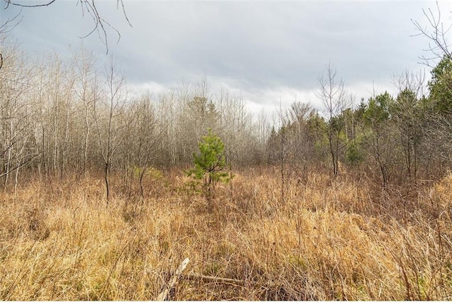 0 County Road Ee, Elk Mound, WI 54739