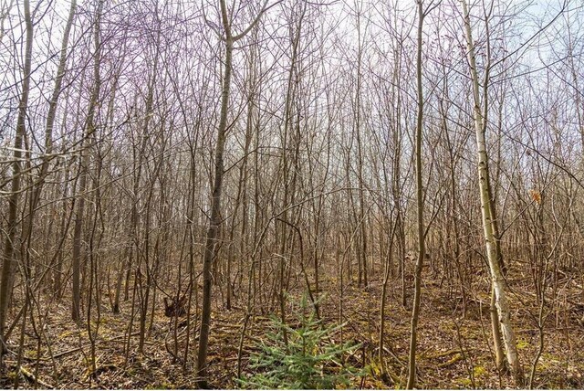 0 County Road Ee, Elk Mound, WI 54739