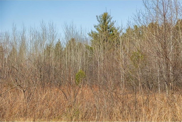 0 County Road Ee, Elk Mound, WI 54739