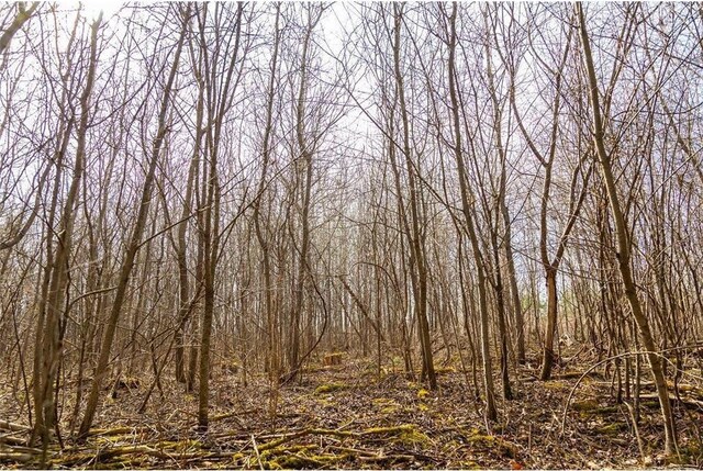 0 County Road Ee, Elk Mound, WI 54739