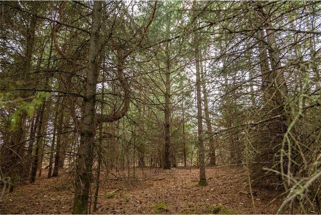 0 County Road Ee, Elk Mound, WI 54739