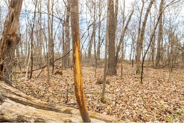 0 County Road Ee, Elk Mound, WI 54739
