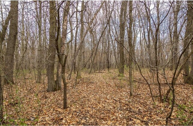 0 County Road Ee, Elk Mound, WI 54739
