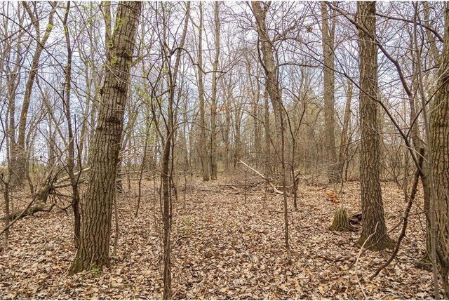 0 County Road Ee, Elk Mound, WI 54739