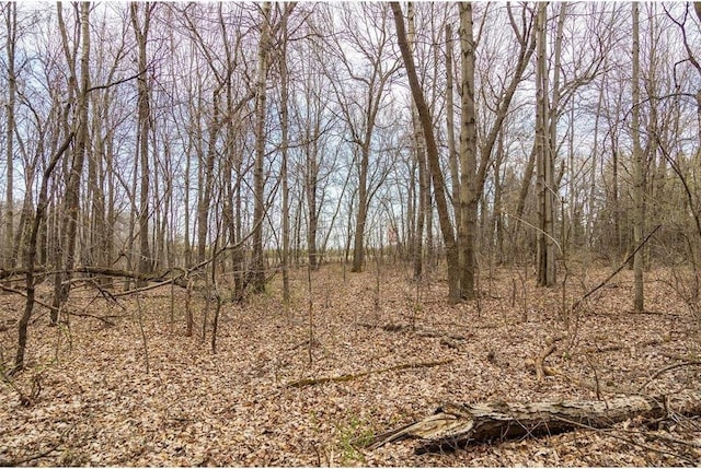 0 County Road Ee, Elk Mound, WI 54739