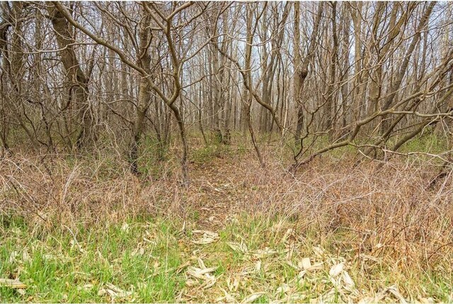 0 County Road Ee, Elk Mound, WI 54739