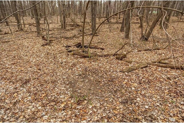 0 County Road Ee, Elk Mound, WI 54739