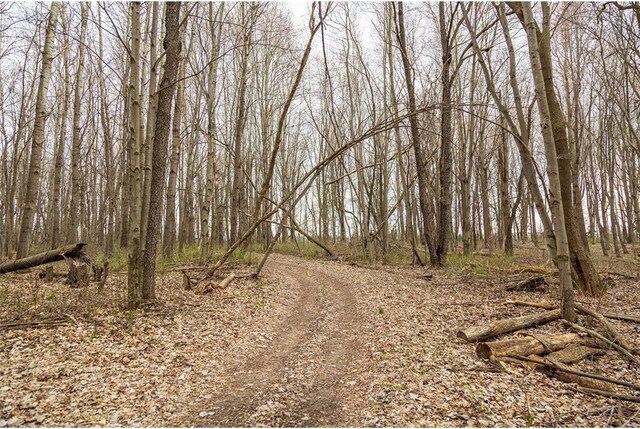 0 County Road Ee, Elk Mound, WI 54739