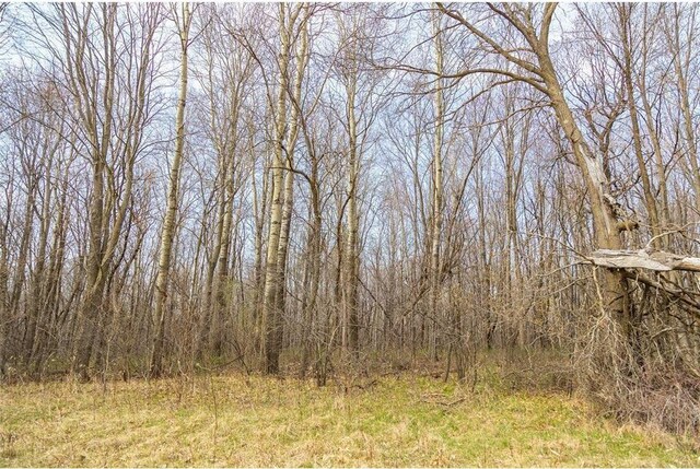0 County Road Ee, Elk Mound, WI 54739