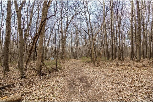 0 County Road Ee, Elk Mound, WI 54739