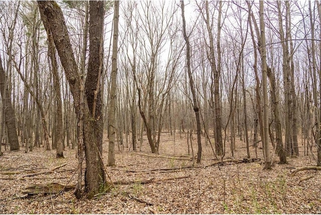 0 County Road Ee, Elk Mound, WI 54739