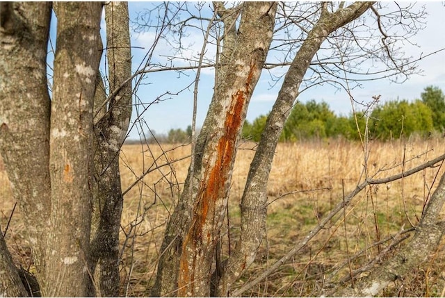 0 County Road Ee, Elk Mound, WI 54739