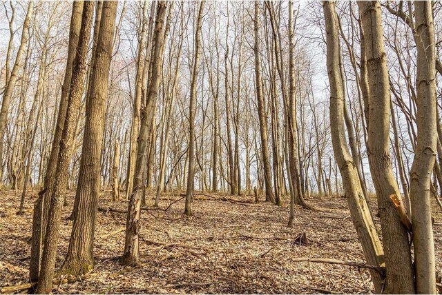 0 County Road Ee, Elk Mound, WI 54739