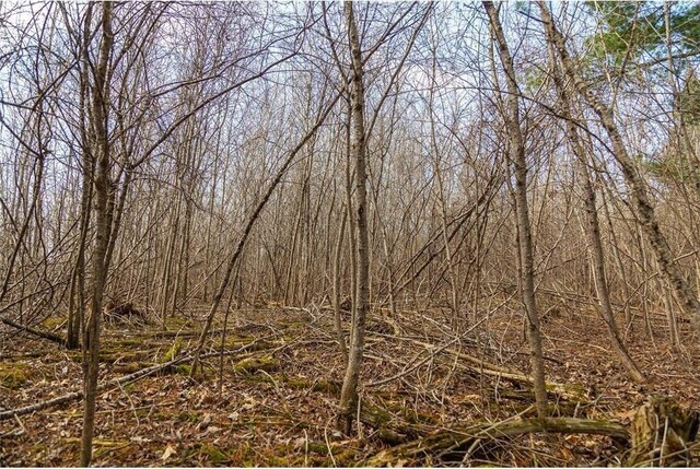 0 County Road Ee, Elk Mound, WI 54739
