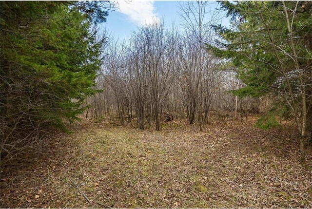 0 County Road Ee, Elk Mound, WI 54739