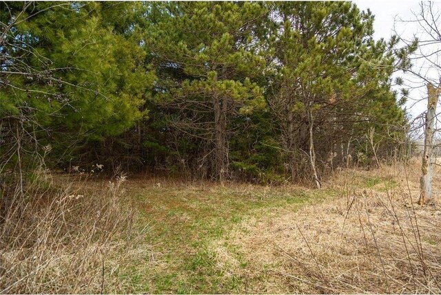 0 County Road Ee, Elk Mound, WI 54739