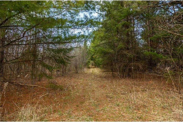 0 County Road Ee, Elk Mound, WI 54739