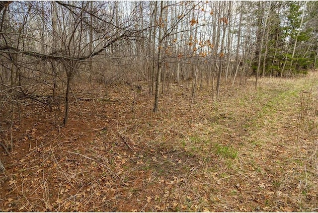 0 County Road Ee, Elk Mound, WI 54739