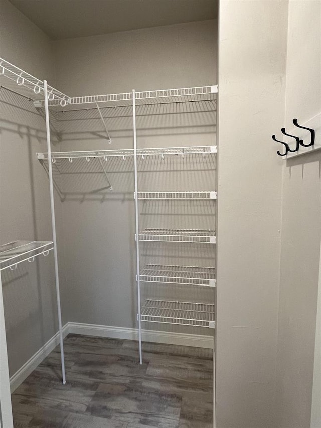 walk in closet with wood finished floors