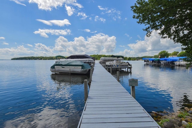 dock area with a water view