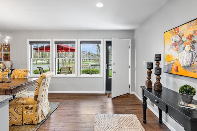 entryway featuring baseboards, a wealth of natural light, and wood-type flooring