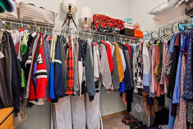 view of walk in closet