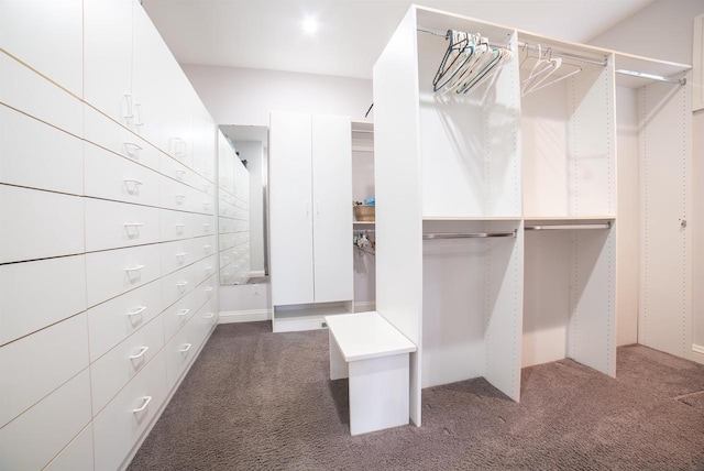 spacious closet with carpet floors
