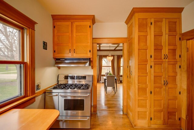 1324 Washington Ave, Oshkosh, WI 54901 - kitchen featuring light countertops, light wood finished floors, under cabinet range hood, and range with two ovens