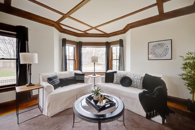 1324 Washington Ave, Oshkosh, WI 54901 - carpeted living room featuring crown molding, baseboards, coffered ceiling, and wood finished floors