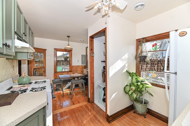 4308 W Dr, Delavan, WI 53115 - kitchen featuring light wood-style floors, green cabinets, white appliances, and under cabinet range hood
