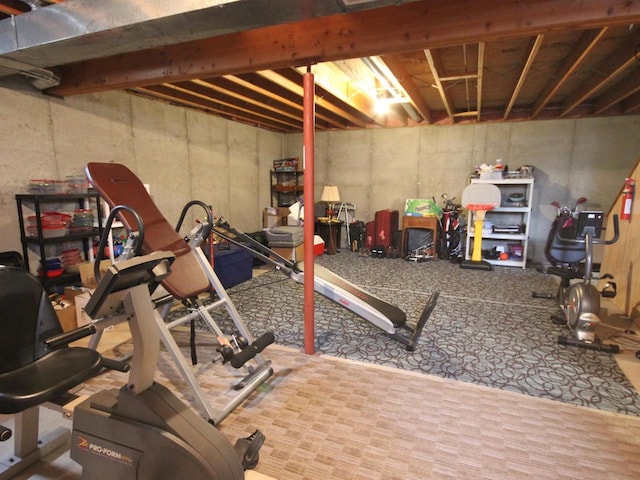exercise area featuring carpet floors