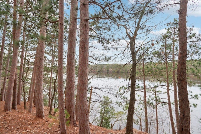 water view