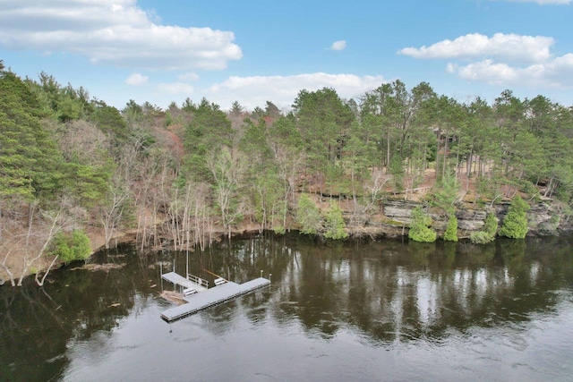 view of dock with a water view and a view of trees