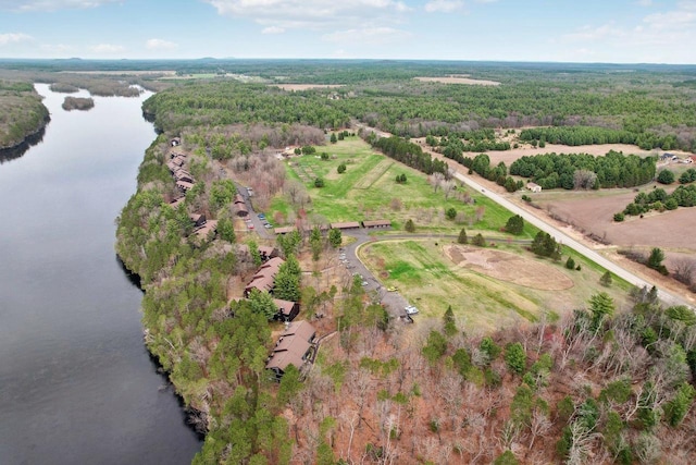 drone / aerial view with a water view and a view of trees