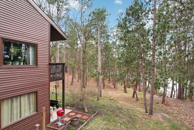view of yard with a patio