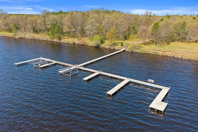 W4895 Big Bay Rd, Necedah, WI 54646 - dock area with a forest view and a water view