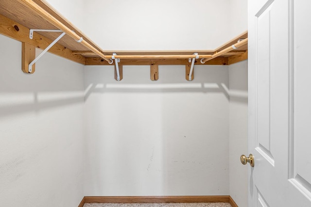 spacious closet with carpet