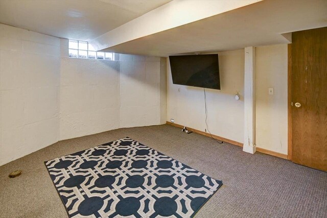 basement featuring carpet flooring