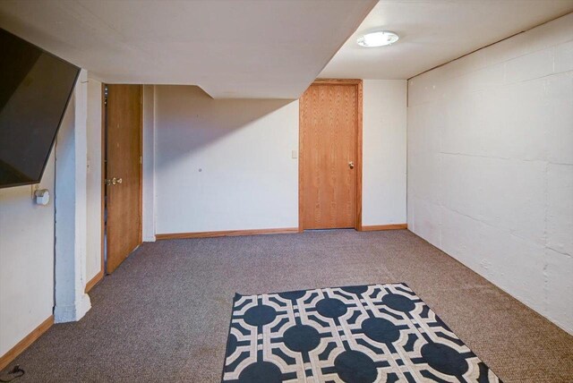 interior space featuring baseboards and carpet flooring