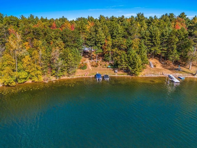 N1115 Spotted Fawn Trl, Keshena, WI 54135 - drone / aerial view of a large body of water and a forest