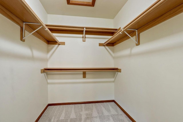 walk in closet featuring carpet