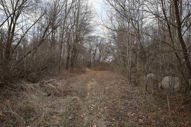 000 Big Horn Ave, Poy Sippi, WI 54967