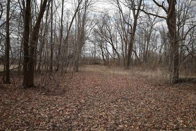 000 Big Horn Ave, Poy Sippi, WI 54967