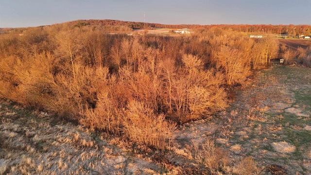 000 Big Horn Ave, Poy Sippi, WI 54967